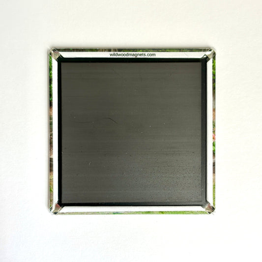 2" SQUARE PHOTO MAGNETS